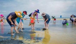 户外赶海爆料视频大全,揭秘户外赶海爆料视频大全精彩瞬间